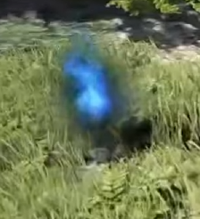 Flamme bleue du boss Renard Bandit